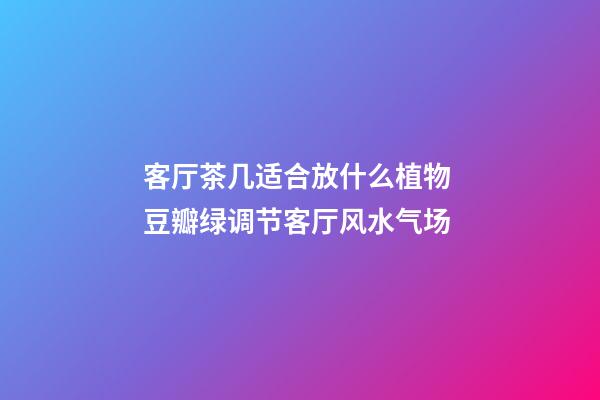 客厅茶几适合放什么植物 豆瓣绿调节客厅风水气场
